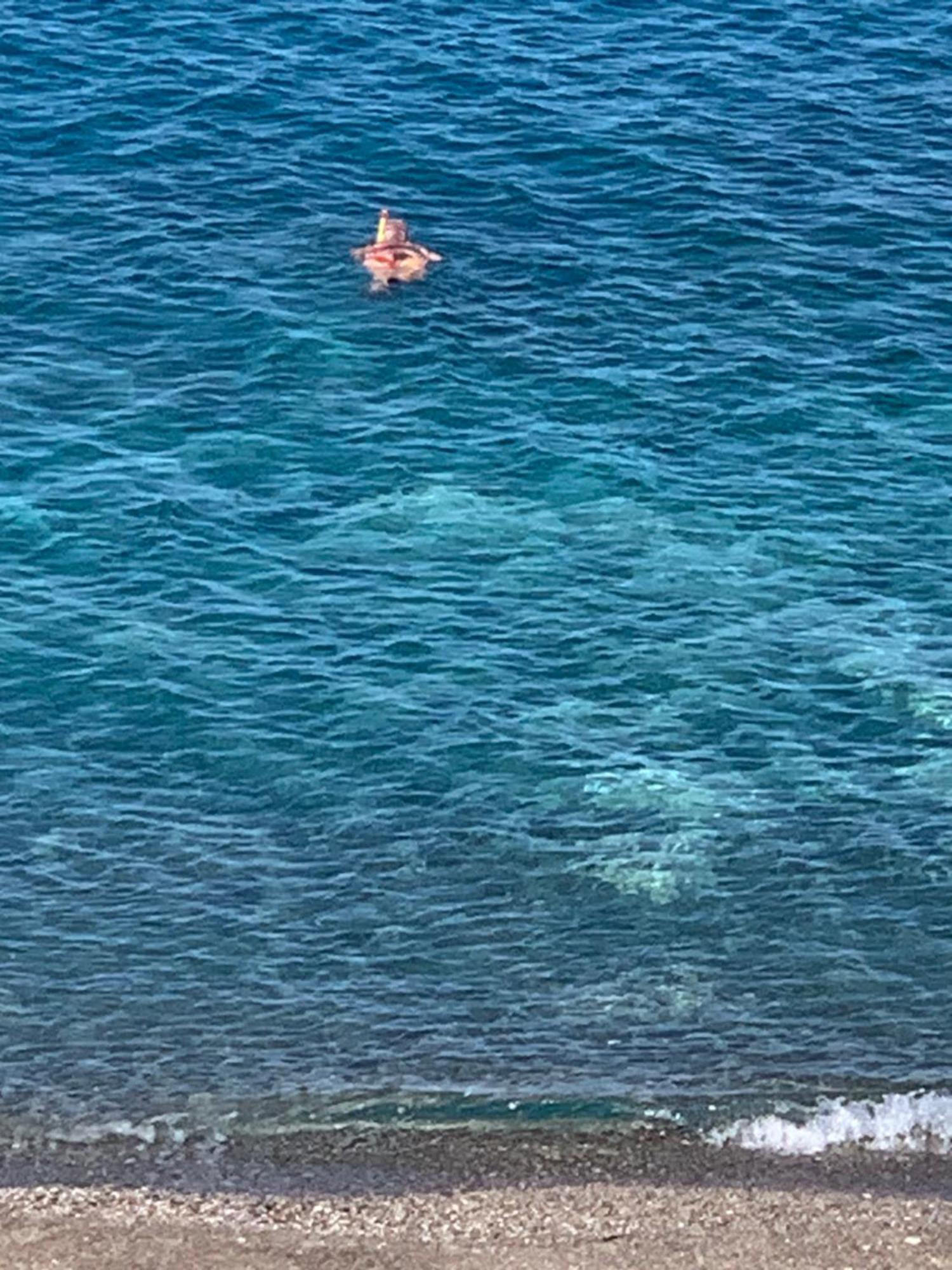 شقة La Porta Delle Eolie Capo dʼOrlando المظهر الخارجي الصورة